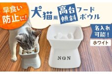 【美濃焼】 名入れ 陶器製ペット用フードボウル 名入れ 早食い防止 スタンプ 高台傾斜 ホワイト pet170 瑞浪市 / ながしまプランニングオフィス エサ入れ 餌皿 犬 猫 [AZBM193]