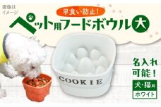 【美濃焼】 名入れ 陶器製ペット用フードボウル 早食い防止 スタンプ 高台 大 pet120 瑞浪市 / ながしまプランニングオフィス エサ入れ 餌皿 犬 猫 [AZBM143]