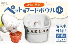 【美濃焼】 名入れ 陶器製ペット用フードボウル 早食い防止 スタンプ 高台 小 pet118 瑞浪市 / ながしまプランニングオフィス エサ入れ 餌皿 犬 猫 [AZBM141]