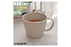 【美濃焼】 プレーリー グレー カップL 2個セット 瑞浪市 / JS企画 小田陶器 セット 食器 コップ カップ マグカップ マグ [AZAZ266]