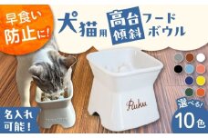 【美濃焼】 名入れ / 色が選べる 陶器製ペット用フードボウル 名入れ 早食い防止 ゴールド 高台傾斜 pet167 瑞浪市 / ながしまプランニングオフィス エサ入れ 餌皿 犬 猫 [AZBM191]