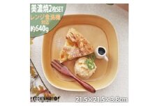 【美濃焼】 プレーリー マスタード プレートL 2枚セット 瑞浪市 / JS企画 小田陶器 セット 食器 プレート 皿 小皿 [AZAZ260]