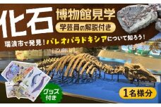 瑞浪市化石博物館 パレオパラドキシアコーナー 学芸員の解説付き見学ツアー(1名様) ＆ グッズセット 瑞浪市 [AZCJ001]