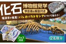 瑞浪市化石博物館 パレオパラドキシアコーナー 学芸員の解説付き見学ツアー(2名様) ＆ グッズセット 瑞浪市 [AZCJ002]