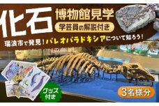 瑞浪市化石博物館 パレオパラドキシアコーナー 学芸員の解説付き見学ツアー(3名様) ＆ グッズセット 瑞浪市 [AZCJ003]