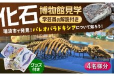 瑞浪市化石博物館 パレオパラドキシアコーナー 学芸員の解説付き見学ツアー(4名様) ＆ グッズセット 瑞浪市 [AZCJ004]