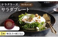【美濃焼】 テラグラーズ サラダプレート キャラメリゼ 5客揃 瑞浪市 / アワサカ 食器 皿 プレート [AZAD024]