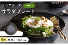【美濃焼】 テラグラーズ サラダプレート オリビエ 5客揃 瑞浪市 / アワサカ 食器 皿 プレート [AZAD025]