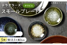 【美濃焼】 テラグラーズ スモールプレート オリビエ 5客揃 瑞浪市 / アワサカ 食器 皿 プレート [AZAD021]