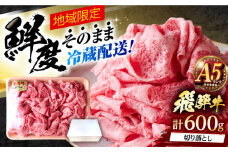 ※冷蔵配送/地域限定※ 飛騨牛 切落し (ロースまたは肩ロース) 600g 瑞浪市 / きなぁた瑞浪 和牛 国産 岐阜県産 [AZCI029]