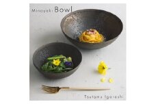 【美濃焼】 五十嵐務 鉢 ブロンズ釉 2サイズセット 瑞浪市 / JS企画 鉢 セット 陶芸作品 取鉢 ボウル 皿 [AZAZ208]