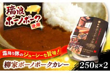 柳家 ボーノポークカレー 250g×2個 瑞浪市 / 陶ホープフル レトルト スパイス ギフト [AZBC001]