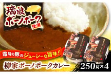 柳家 ボーノポークカレー 250g×4個 瑞浪市 / 陶ホープフル レトルト スパイス ギフト [AZBC002]