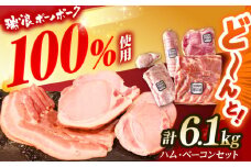 ハム・ベーコン ブロック セット 瑞浪ボーノポーク 6.1kg (冷凍) 瑞浪市 / きなぁた瑞浪 詰め合わせ ギフト [AZCI012]