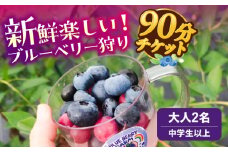 ブルーベリーファーム瑞浪 ブルーベリー狩り 90分 大人(中学生以上) 2名様分 チケット [AZCX001]