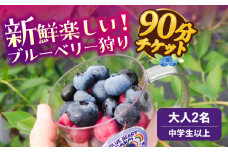 ブルーベリーファーム瑞浪 ブルーベリー狩り 90分 大人(中学生以上) 2名様分 チケット [AZCX001]