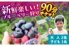 ブルーベリーファーム瑞浪 ブルーベリー狩り 90分 大人(中学生以上)2名様 ・ 子ども(小学生)1名様 チケット [AZCX002]