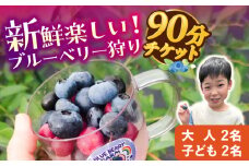 ブルーベリーファーム瑞浪 ブルーベリー狩り 90分 大人(中学生以上)2名様 ・ 子ども(小学生)2名様 チケット [AZCX003]