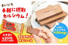 チョコ サンドウエハース 420個 (1袋21枚入り×20袋) 瑞浪市 / 中新製菓 お菓子 おやつ 大容量 [AZBN004]