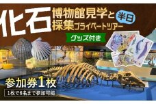 瑞浪市化石博物館 見学と化石採集プライベートツアー（半日）＆ グッズセット 瑞浪市 [AZCJ005]