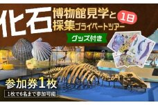 瑞浪市化石博物館 見学と化石採集プライベートツアー（一日）＆ グッズセット 瑞浪市 [AZCJ006]