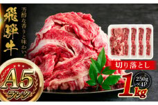 A5等級 飛騨牛 切り落とし 1kg (250g×4P) 瑞浪市 / マルチョウ渡辺精肉店 牛肉 和牛 国産 ギフト お取り寄せ [AZCW002]