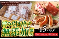 中山道ハム プレーンソーセージ 生ベーコン 計5パック 小分け 冷凍 瑞浪市 / オーガニックフーズ お取り寄せ 小分け 手作り 無塩せき 発色剤 保存料 無添加 [AZAK009]