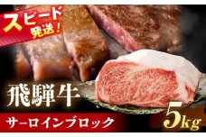 飛騨牛 サーロイン ブロック 5kg 瑞浪市 / 養老ミート 冷凍 和牛 ギフト [AZDB014]