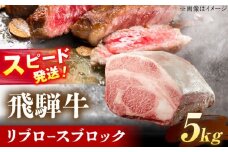 飛騨牛 リブロース ブロック 5kg 瑞浪市 / 養老ミート 冷凍 和牛 ギフト [AZDB015]