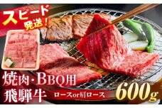 飛騨牛 焼肉 BBQ用 600ｇ 瑞浪市 / 養老ミート 冷凍 ロース 肩ロース 和牛 ギフト [AZDB016]