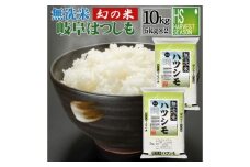 【美濃の希少種】 無洗米 はつしも 10kg (5kg×2袋) / 米 コメ こめ 無洗米 10kg むせんまい 岐阜県産 令和6年産 / 瑞浪市 / ハナノキ [AZBS003]
