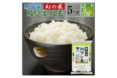 【美濃の希少種】 無洗米 はつしも 5kg 岐阜県産 令和6年産 瑞浪市 / ハナノキ [AZBS004]