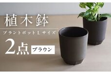 【美濃焼】 miyama. プラントポットL ブラウン 2個 / プランター 鉢 植木鉢 ガーデニング / 瑞浪市 / ミヤマプランニング [AZCM086]
