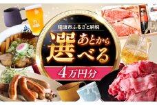 【あとから選べる】 岐阜県瑞浪市ふるさとギフト 4万円分 [AZDD004]