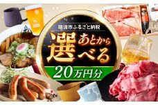 【あとから選べる】 岐阜県瑞浪市ふるさとギフト 20万円分 [AZDD011]