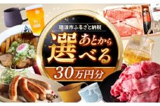 【あとから選べる】 岐阜県瑞浪市ふるさとギフト 30万円分 [AZDD012]