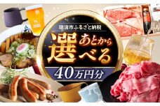 【あとから選べる】 岐阜県瑞浪市ふるさとギフト 40万円分 [AZDD013]