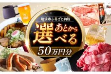 【あとから選べる】 岐阜県瑞浪市ふるさとギフト 50万円分 [AZDD014]