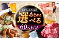 【あとから選べる】 岐阜県瑞浪市ふるさとギフト 60万円分 [AZDD015]