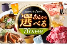 【あとから選べる】 岐阜県瑞浪市ふるさとギフト 70万円分 [AZDD016]