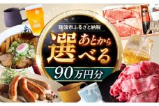【あとから選べる】 岐阜県瑞浪市ふるさとギフト 90万円分 [AZDD018]