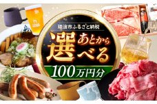 【あとから選べる】 岐阜県瑞浪市ふるさとギフト 100万円分 [AZDD019]