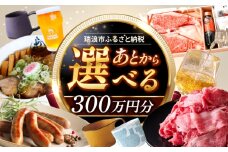 【あとから選べる】 岐阜県瑞浪市ふるさとギフト 300万円分 [AZDD021]