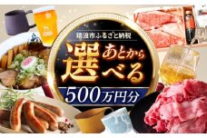 【あとから選べる】 岐阜県瑞浪市ふるさとギフト 500万円分 [AZDD023]