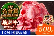 【12回定期便】 飛騨牛 切り落とし 500g (250g×2) 瑞浪市 / 肉のひぐち [AZDE017]