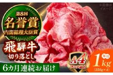 【6回定期便】 飛騨牛 切り落とし 1kg (250g×4) 瑞浪市 / 肉のひぐち [AZDE019]
