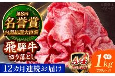 【12回定期便】 飛騨牛 切り落とし 1kg (250g×4) 瑞浪市 / 肉のひぐち [AZDE020]