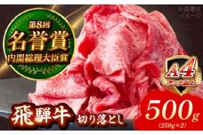 飛騨牛 切り落とし 500g (250g×2) 瑞浪市 / 肉のひぐち [AZDE001]
