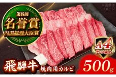 飛騨牛 焼肉用 カルビ 500g 瑞浪市 / 肉のひぐち [AZDE003]