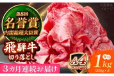 【3回定期便】 飛騨牛 切り落とし 1kg (250g×4) 瑞浪市 / 肉のひぐち [AZDE018]